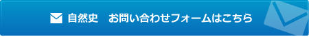 自然史　お問い合わせフォームはこちら